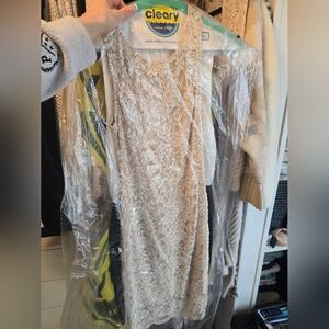 Elegant Lace Sleeveless Dress